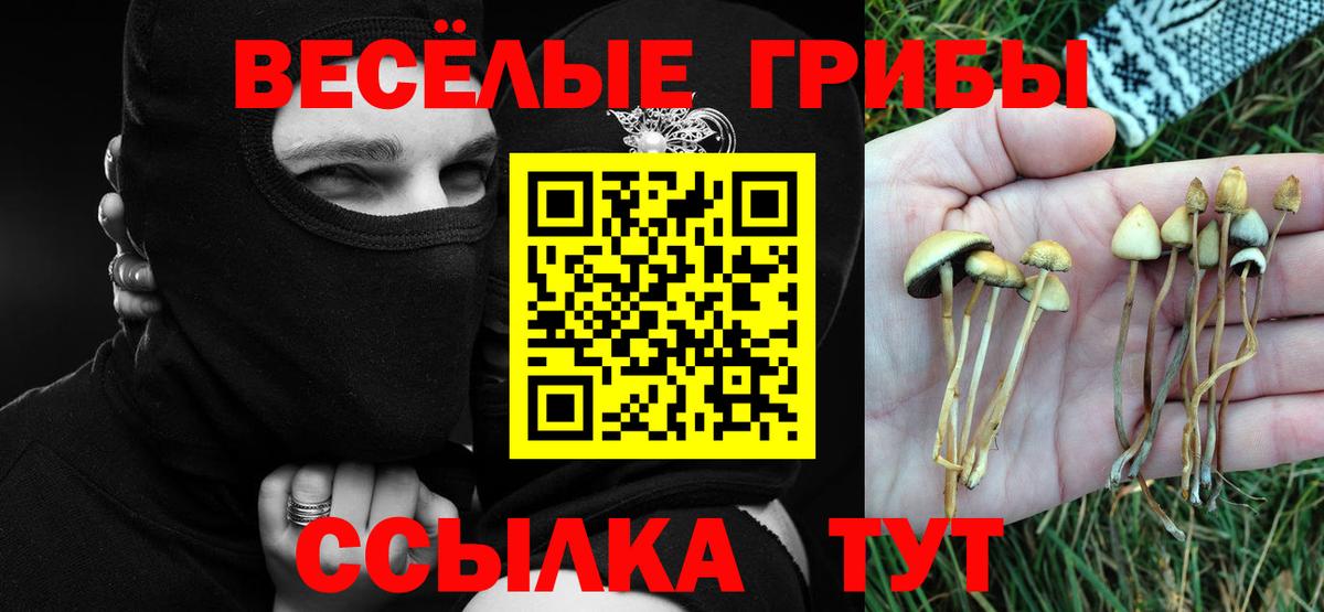 Галлюциногенные грибы GOLDEN TEACHER Кимры