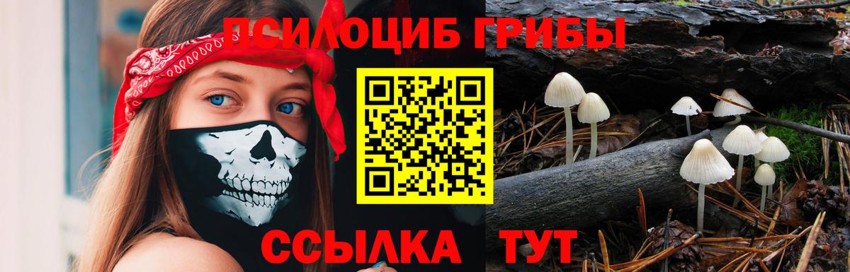 Кимры  Галлюциногенные грибы мухоморы  Вход с VPN 